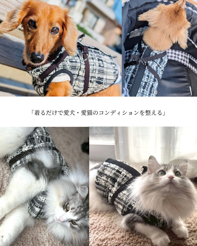 JourFin　ジュールフィン　ラブリボン　LoveRibbon　リボン　リボンスクール　リボン教室　リボン教室芦屋　リボンレッスン 手仕事　ハンドメイド　芦屋　ワンちゃん　ネコちゃん　ドッグウエアー　ハーネス　リントンハーネス　おしゃれドッグウエアー　犬猫　手づくりペット用品　ペット用品