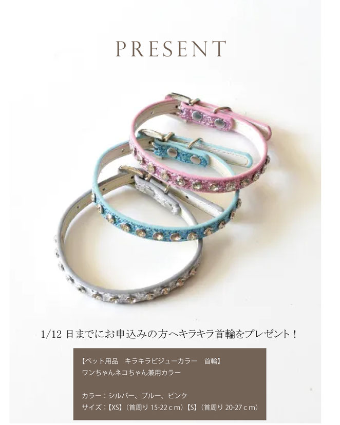 JourFin ラブリボン LoveRibbon りぼん リボン リボン教室 リボン教室芦屋 リボン教室神戸 リボンワーク リボンレッスン リボンレッスン神戸 リボンワーク リボンデザイン リボンレッスン 手仕事 ハンドメイド リントン LINTON リカバリ―わん リカバリ―わんハーネス ハーネス テラヘルツウエアー テラヘルツ 犬服 ドッグウエアー ドッグ用品 ドッグアクセサリー クークチュール ドッグ服手づくり ドッグ介護用品 ドッグハーネス 猫服 猫グッズ 猫介護用品