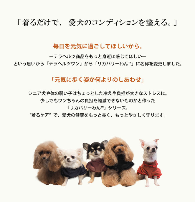 JourFin　ラブリボン　LoveRibbon　りぼん　リボン　リボン教室　リボン教室芦屋　リボン教室神戸　リボンワーク　リボンレッスン　リボンレッスン神戸　リボンワーク　リボンデザイン　リボンレッスン　手仕事　ハンドメイド　リントン　LINTON　リカバリ―わん　リカバリ―わんハーネス　ハーネス　テラヘルツウエアー　テラヘルツ　犬服　ドッグウエアー　ドッグ用品　ドッグアクセサリー　クークチュール　ドッグ服手づくり　