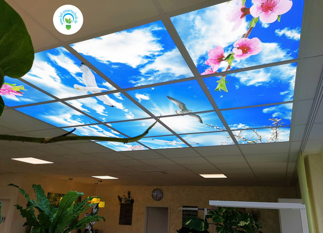 LED-Deckenhimmel 2,40 x 2,40 m mit realistischem Himmel-Motiv für entspannte Raumwirkung
