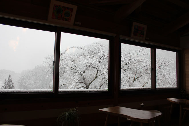 額に入ったような雪景色【カフェほうきの木より】