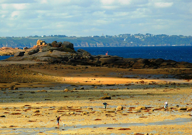 Peche a pieds Saint Jacut
