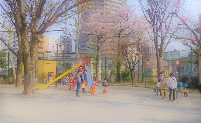 あじさい鍼灸マッサージ治療院　白銀公園の滑り台とシーソー