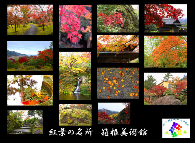 あじさい鍼灸マッサージ治療院 紅葉の名所 箱根美術館