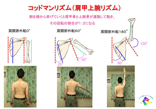 あじさい鍼灸マッサージ治療院　コッドマンリズム