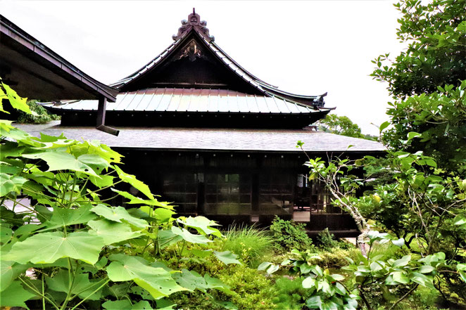 あじさい鍼灸マッサージ治療院　東慶寺建物