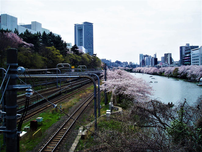 あじさい鍼灸マッサージ治療院　１０年前４月の風景