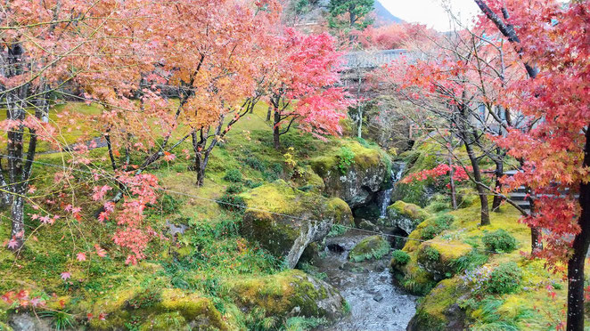 あじさい鍼灸マッサージ治療院　箱根美術館の様子