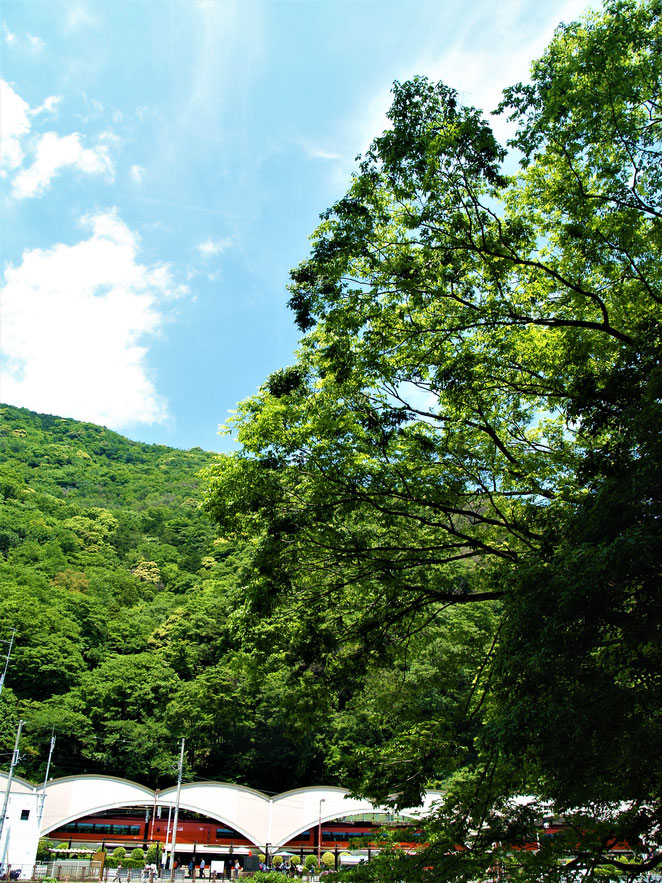 あじさい鍼灸マッサージ治療院　箱根湯本