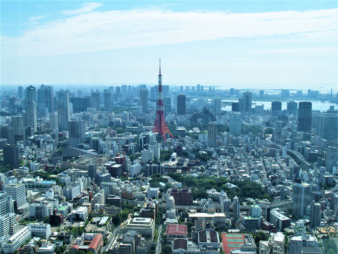 あじさい鍼灸マッサージ治療院　東京タワー