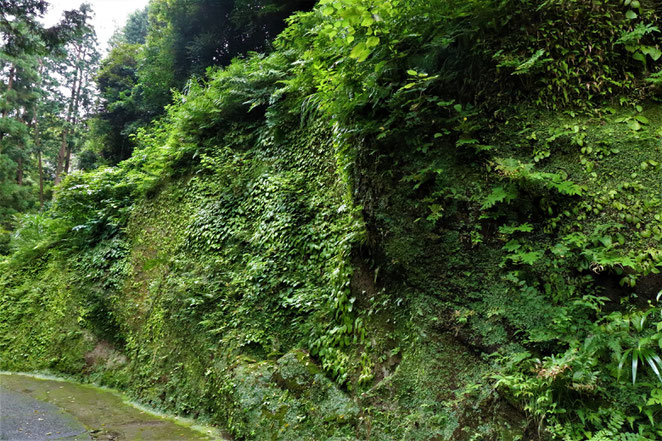 あじさい鍼灸マッサージ治療院　東慶寺境内