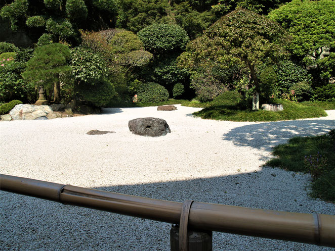 あじさい鍼灸マッサージ治療院　報国寺のお庭