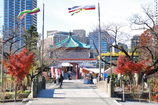 あじさい鍼灸マッサージ治療院　弁天堂の参道