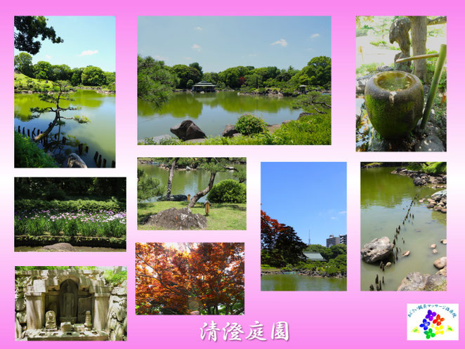あじさい鍼灸マッサージ治療院　清澄庭園