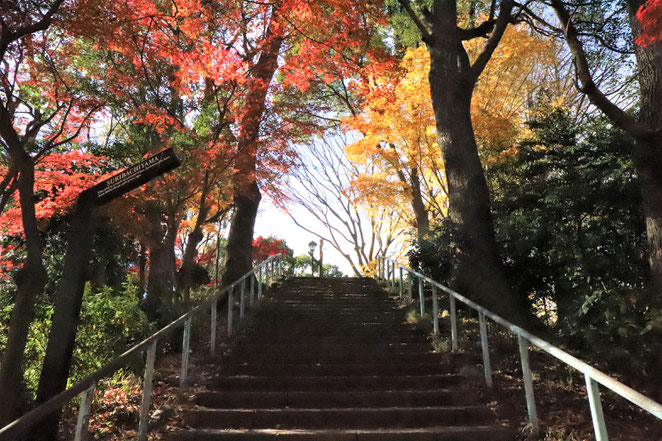 あじさい鍼灸マッサージ治療院　摺鉢山古墳への階段