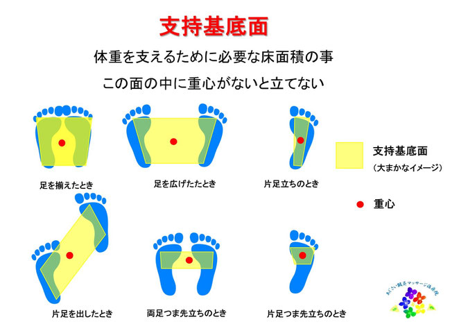 あじさい鍼灸マッサージ治療院　支持基底面