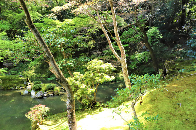 あじさい鍼灸マッサージ治療院　南禅院の庭園