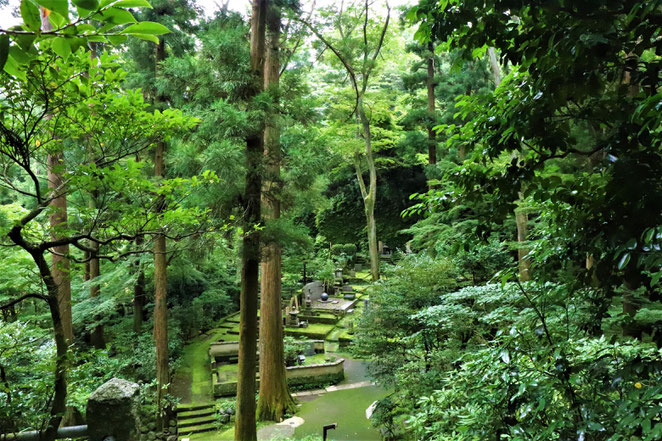 あじさい鍼灸マッサージ治療院　東慶寺のお墓