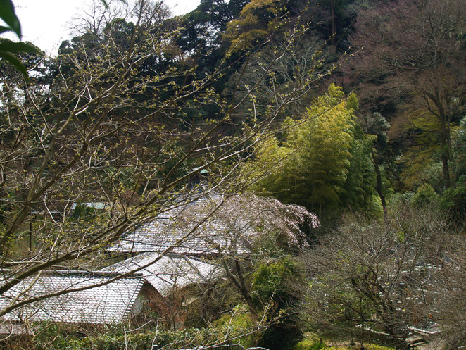 あじさい鍼灸マッサージ治療院　光則寺高台