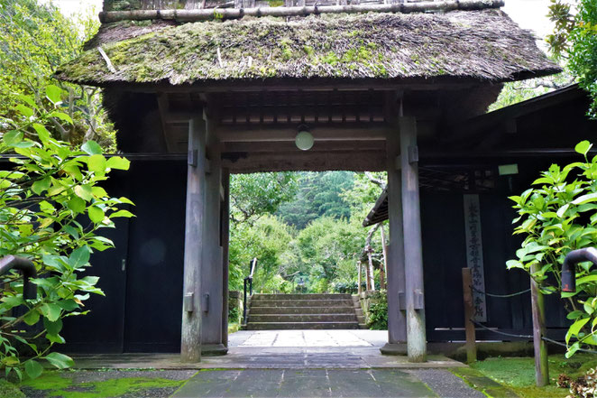 あじさい鍼灸マッサージ治療院　東慶寺の門