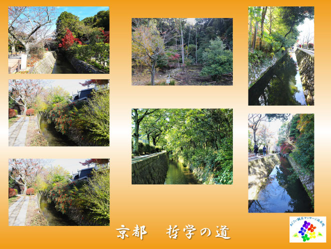 あじさい鍼灸マッサージ治療院　京都　哲学の道