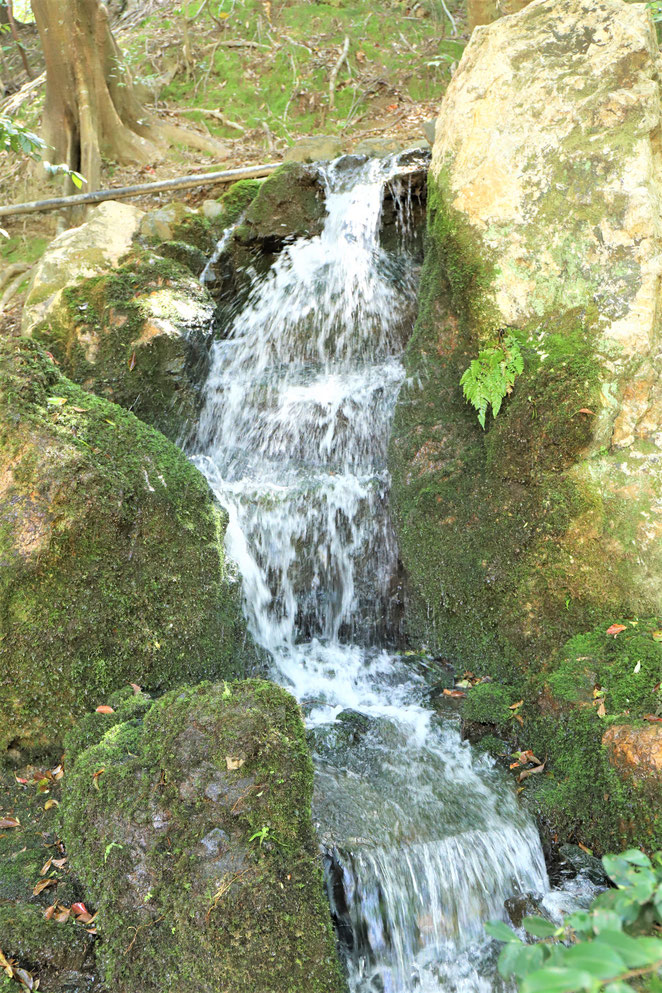 あじさい鍼灸マッサージ治療院　南禅院の庭園