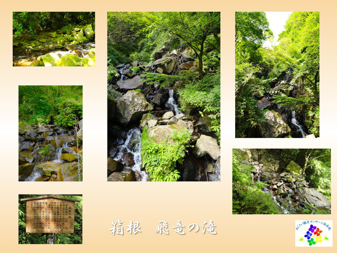 あじさい鍼灸マッサージ治療院　箱根　飛竜の滝