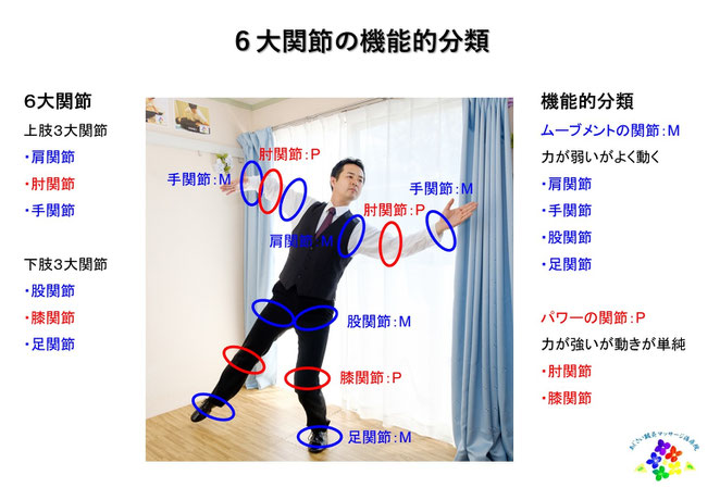 あじさい鍼灸マッサージ治療院　６大関節の機能的分類