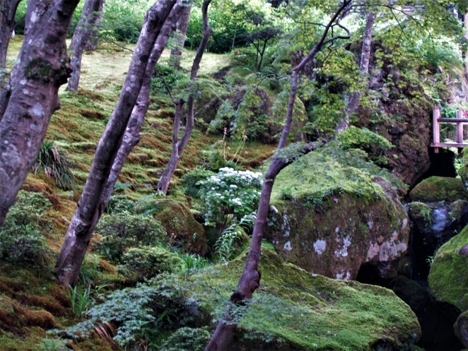 あじさい鍼灸マッサージ治療院　箱根美術館の庭園　大きな岩が景色をつくる