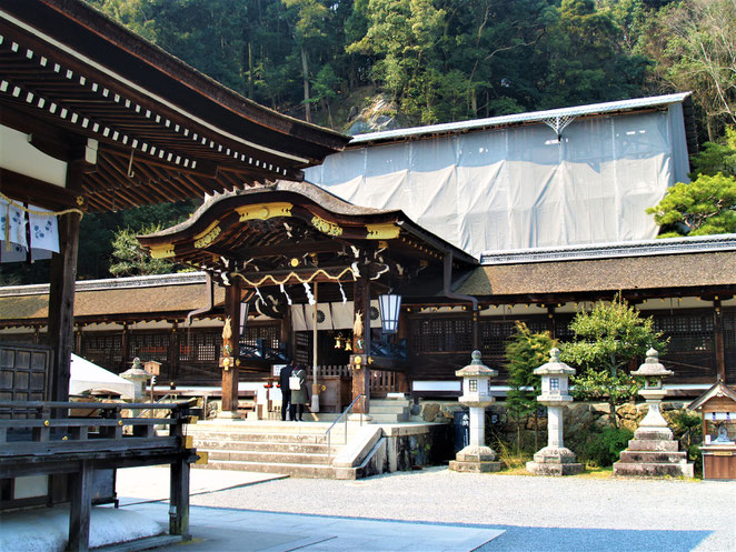 あじさい鍼灸マッサージ治療院　松尾大社本殿