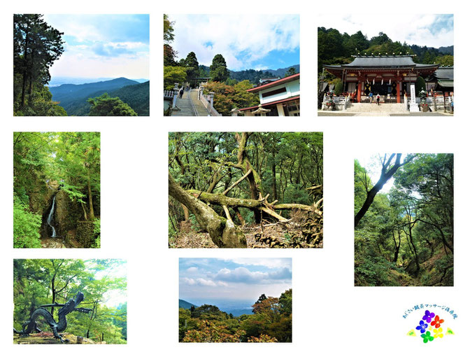 あじさい鍼灸マッサージ治療院　大山阿夫利神社