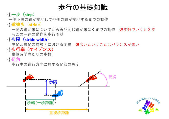 あじさい鍼灸マッサージ治療院　歩行の基礎知識