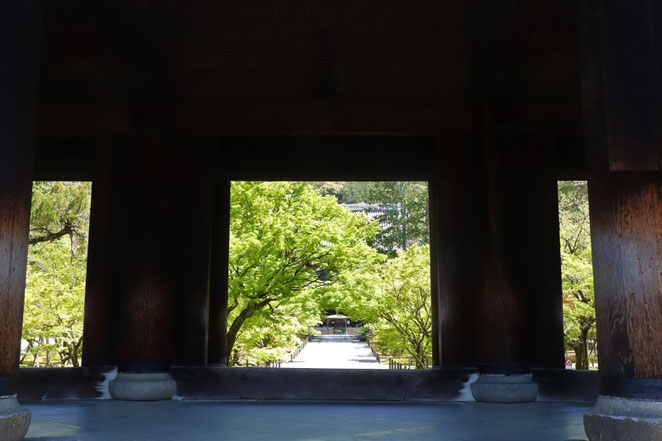 あじさい鍼灸マッサージ治療院　三門の景色