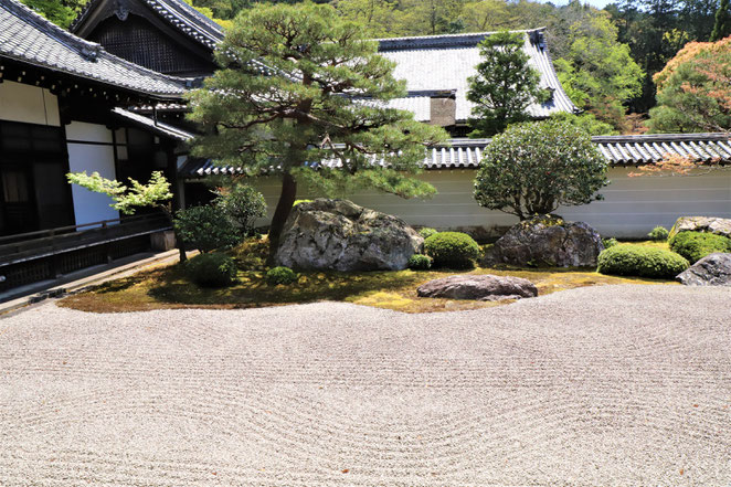 あじさい鍼灸マッサージ治療院　南禅寺方丈の庭園