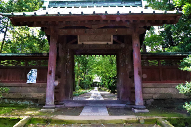 あじさい鍼灸マッサージ治療院　寿福寺の参道