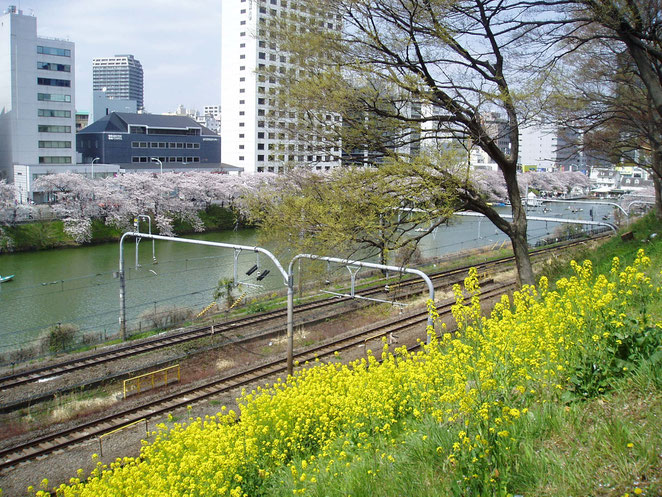 あじさい鍼灸マッサージ治療院院　２０１１年４月１０日の飯田橋