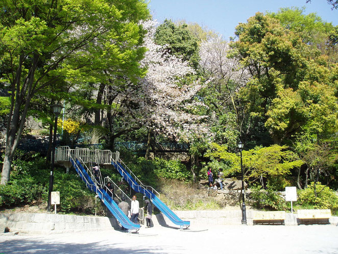 あじさい鍼灸マッサージ治療院院　東日本大震災からひと月後の地元公園