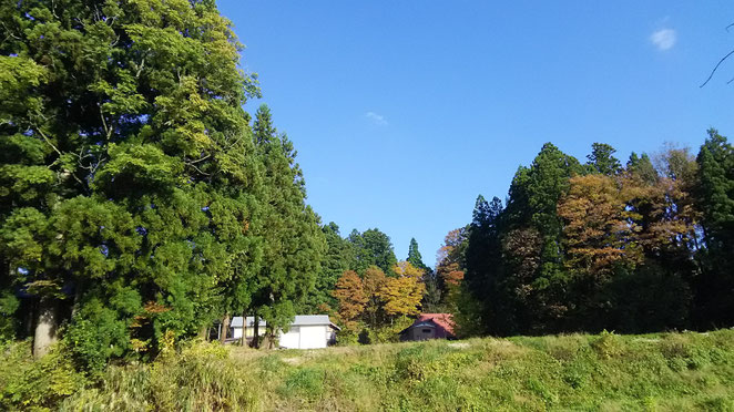 あじさい鍼灸マッサージ治療院　新潟の風景