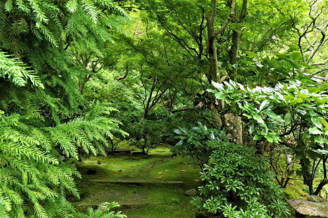 あじさい鍼灸マッサージ治療院　東慶寺境内緑