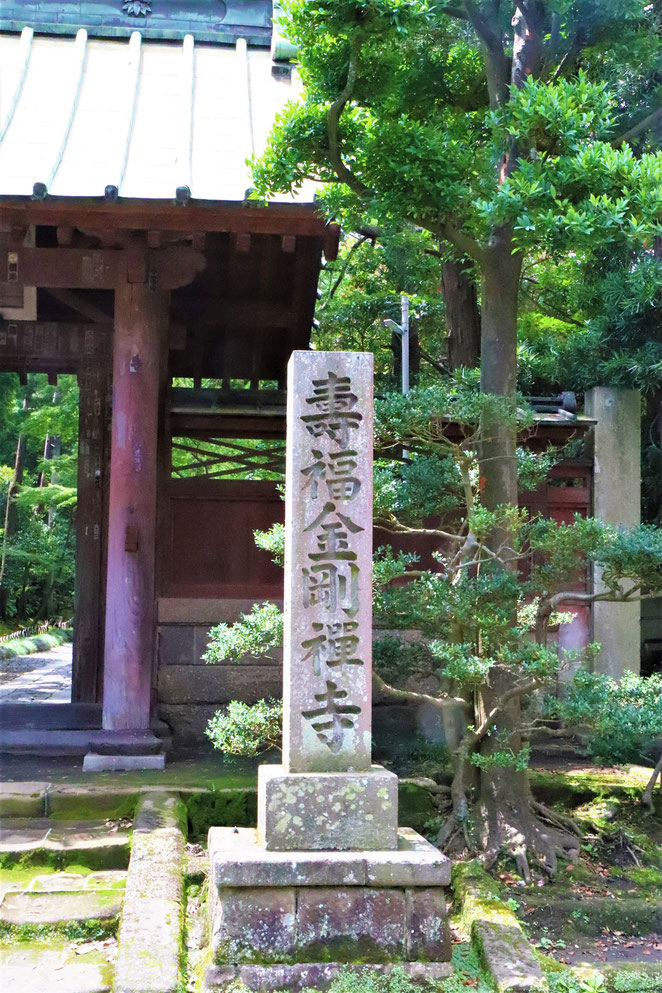 あじさい鍼灸マッサージ治療院　寿福寺