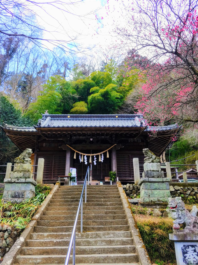 あじさい鍼灸マッサージ治療院　高尾の氷川神社