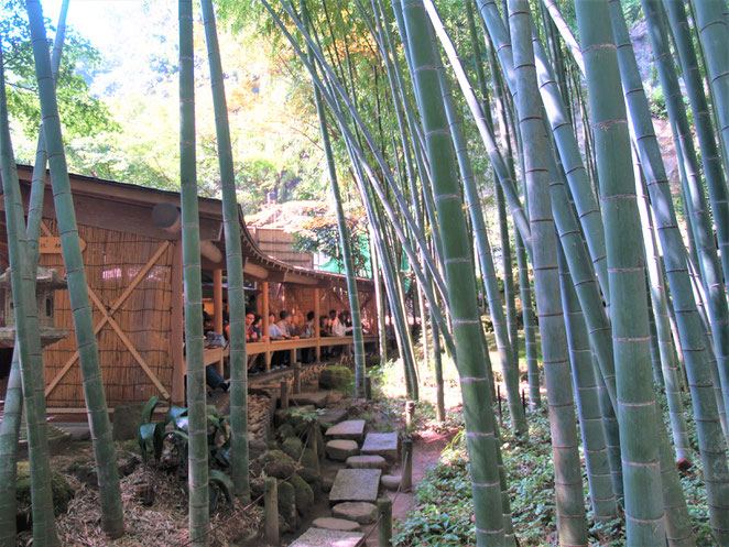 あじさい鍼灸マッサージ治療院　報国寺のお茶屋