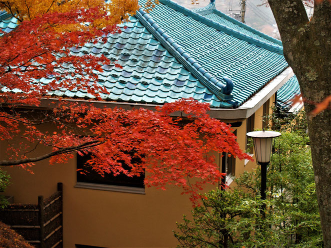 あじさい鍼灸マッサージ治療院　箱根美術館　紅葉と展示棟