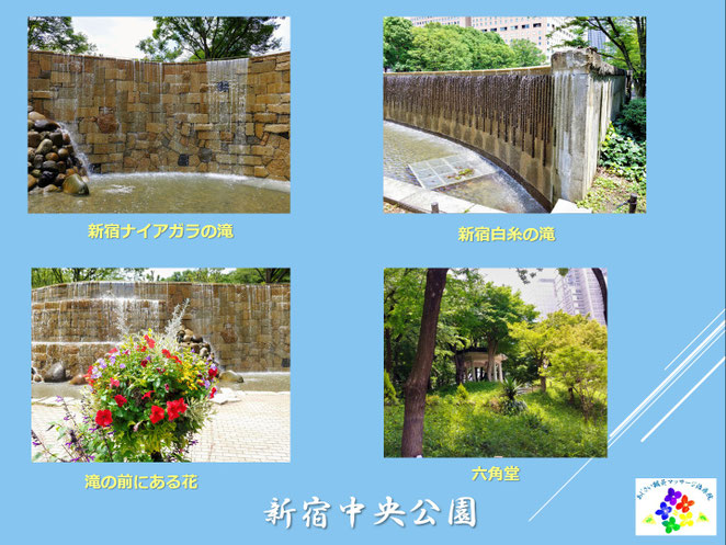 あじさい鍼灸マッサージ治療院　新宿中央公園