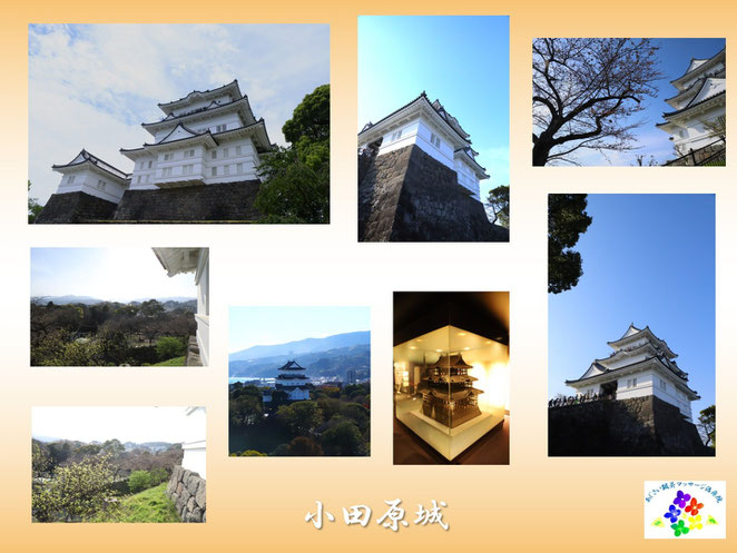 あじさい鍼灸マッサージ治療院　小田原城