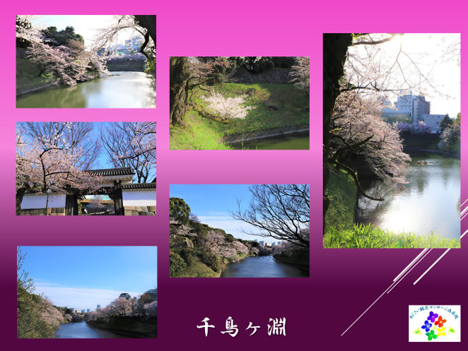 あじさい鍼灸マッサージ治療院　千鳥ヶ淵