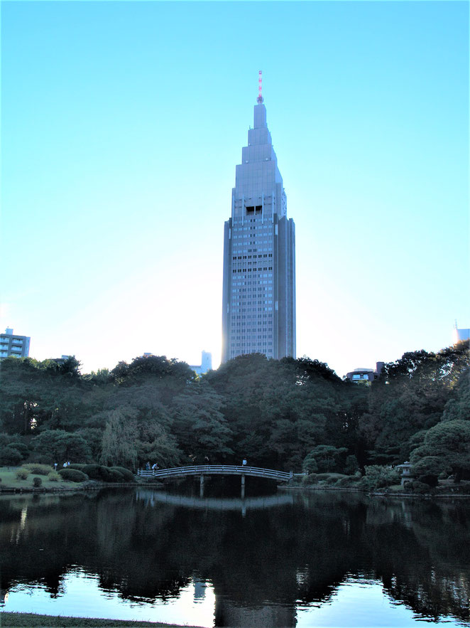 新宿御苑の池