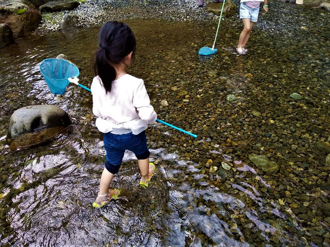 あじさい鍼灸マッサージ治療院　池に入る下の娘