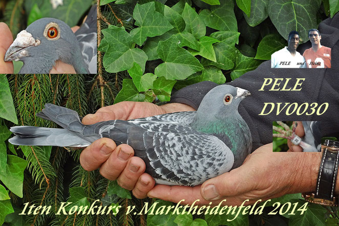 DV o978-11-0030 PELE 1ten Konkurs v.Marktheidenfeld 2014
