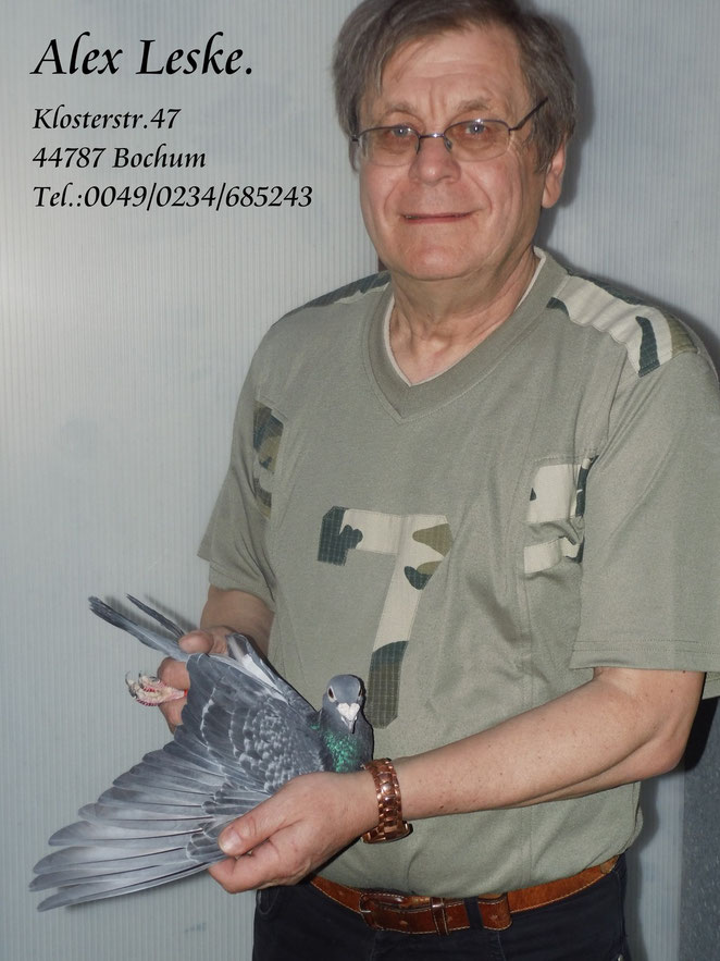 DV-05374-10-0224 Weibchen.